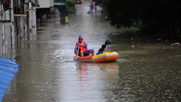 Un centenar de cocodrilos nadan por las calles inundadas de las ciudades de China