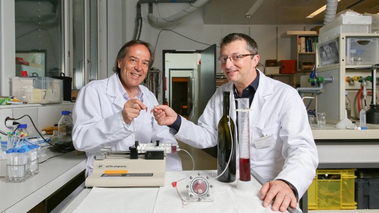 '¡Micro salud!': Ingenieros desarrollan una fuente inagotable de vino
