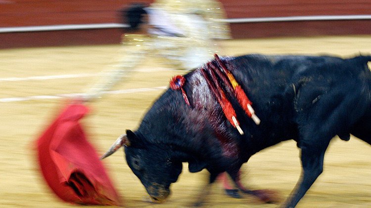 FUERTES IMÁGENES: Un torero muere en España tras sufrir una cornada en el pecho (video 18+)