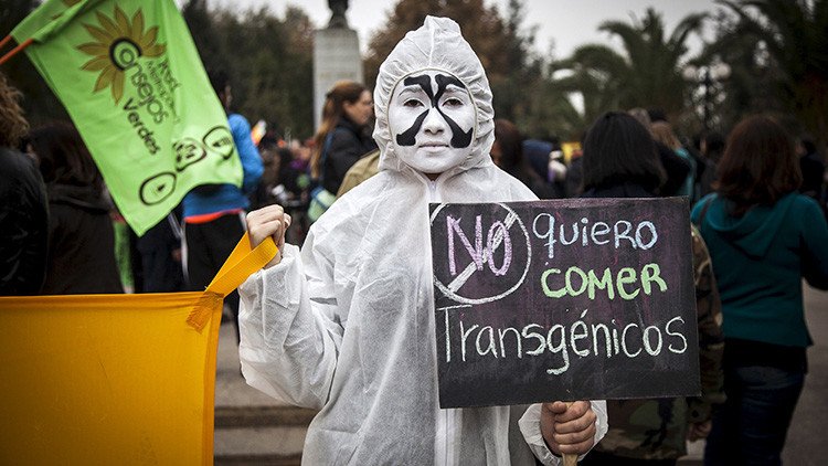 El país latinoamericano que se convirtió en una empresa de cultivos transgénicos