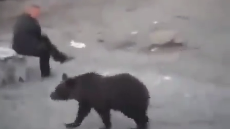 Nervios de acero: Vea la reacción de este ruso al encontrarse cara a cara con un oso