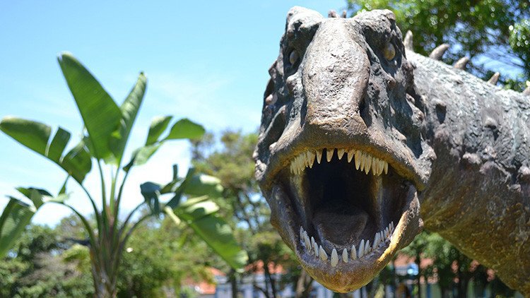 Descubren en Bolivia la huella de un gran dinosaurio carnívoro de 80 millones de años