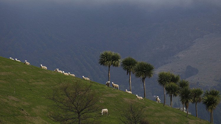  El primer país del planeta que exterminará a los depredadores de su territorio