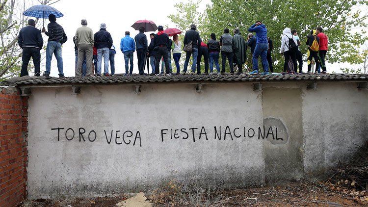 España: presentan la versión 'light' del Toro de la Vega