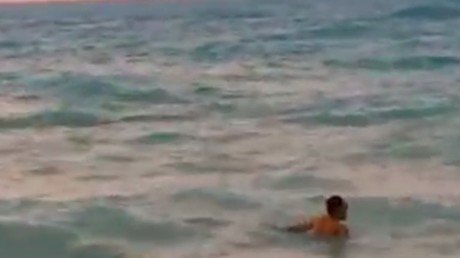 Una ballena gigante asombra a los turistas en las playas de Alejandría