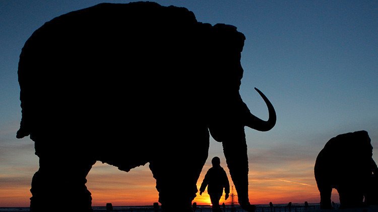 Estudio de la extinción de los mamuts evidencia los peligros para la humanidad