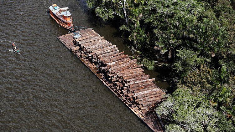 "Ganó el medioambiente": Detenido un proyecto de presa en el corazón de la Amazonia brasileña