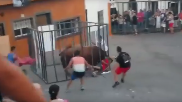 Un toro rompe una jaula y embiste brutalmente a un hombre que estaba dentro 