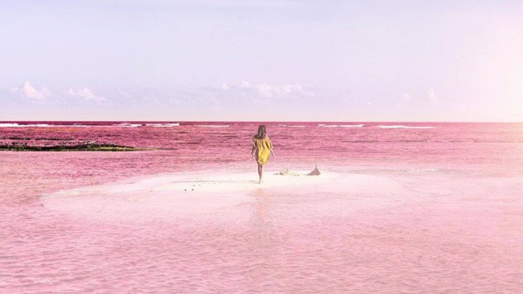 De cuento de hadas: la laguna rosada de México que ha cautivado a la Red con su belleza (FOTOS)