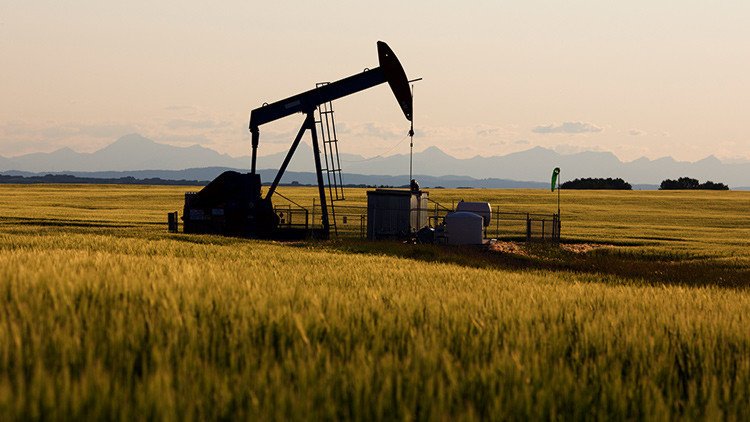 Inversor estadounidense: "La agricultura sustituirá al petróleo en la economía rusa"