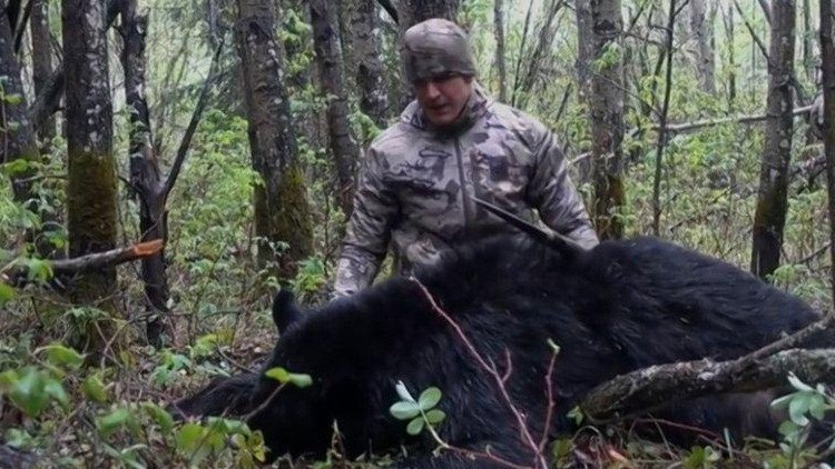 Indignación por el vídeo en el que un cazador estadounidense mata a lanzadas a un oso (18+)