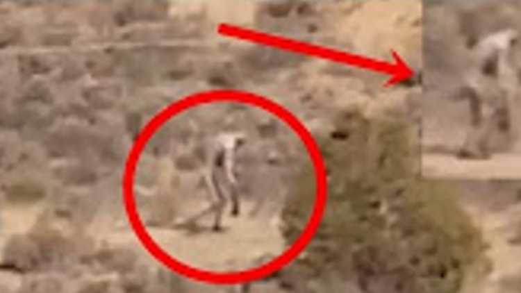 Captan en video a una 'misteriosa criatura humanoide' en un desierto de Portugal