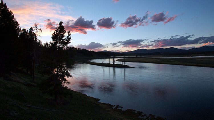 "Un caso sin precedentes": aparecen decenas de miles de peces muertos en el río Yellowstone (EE.UU.)