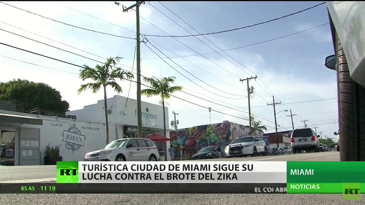 EE.UU.: La turística ciudad de Miami sigue su lucha contra el Zika