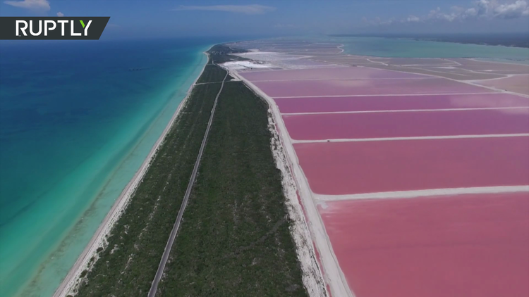 Las Coloradas: Aguas de color rosa en México, a vista de dron