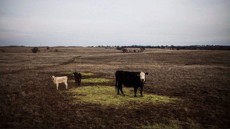 Los verdaderos dueños de EE.UU.: los diez mayores terratenientes estadounidenses