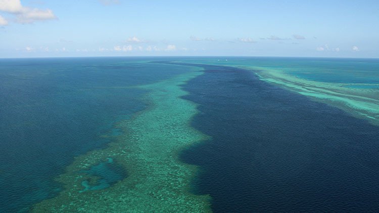 Hallan un nuevo arrecife tras la Gran Barrera de Coral australiana (foto)