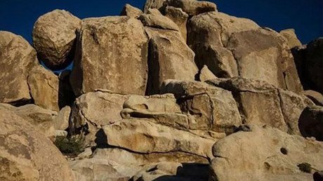 El nuevo desafío de Internet: ¿Es capaz de hallar a la 'niña camaleónica' que saluda a la cámara?