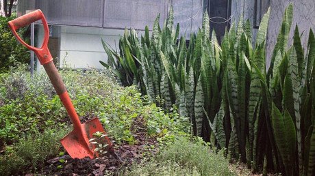 Basura por hortalizas: innovador proyecto de reciclado en Brasil