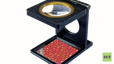 'Buscando a Dory': Un nuevo desafío visual que no deja indiferentes a los internautas