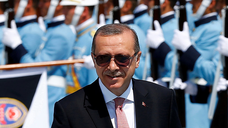 Un político alemán compara la reacción de Erdogan tras el golpe con la toma de poder por Hitler