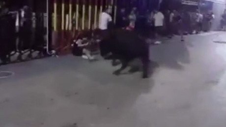 FUERTES IMÁGENES: Un adolescente corneado por un toro en un festival en España (video 18+)