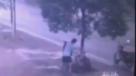 Un ladrón quería tanto una bicicleta que cortó un árbol para llevársela