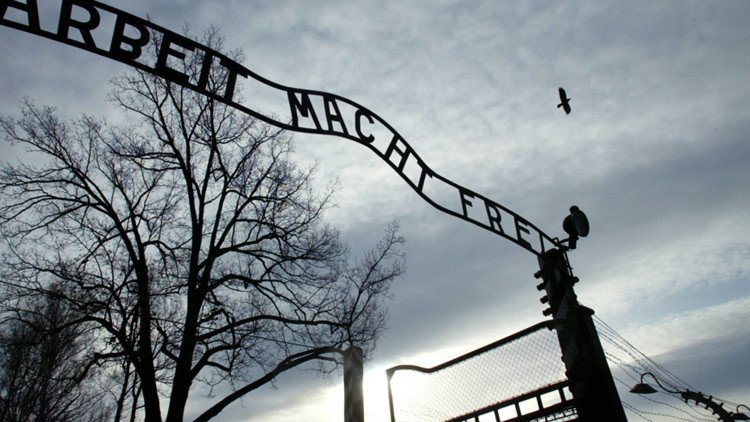 "Un capítulo no terminado": Hallan en Múnich cerebros de víctimas del Holocausto