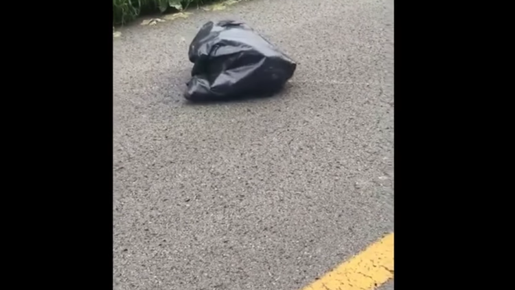 ¡Una bolsa que se mueve!: Lo que halló esta mujer abandonado en la carretera le partirá el corazón