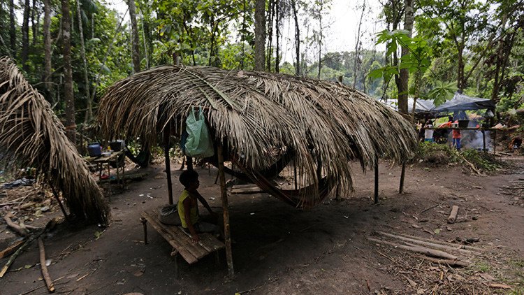 Dos mujeres de una tribu amazónica rechazaron la "civilización" y decidieron volver a la selva