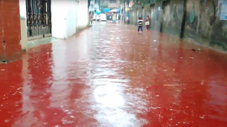 Video, fotos: Aparecen ríos de sangre en Bangladés