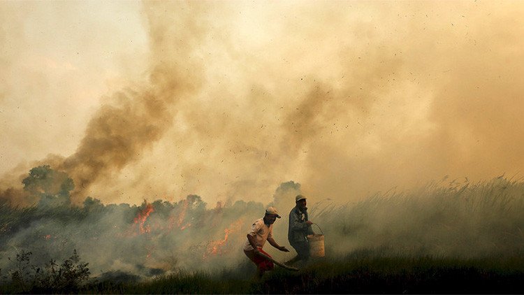 La 'niebla asesina' causa 100.000 muertes en el sudeste asiático en un solo año
