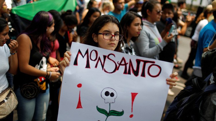 La planta anti-Monsanto que crece de manera silvestre en Venezuela