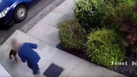 Un niño maltrata a una gata, que le paga con la misma moneda