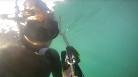 Un buzo graba con una cámara submarina cómo es atacado por un tiburón blanco