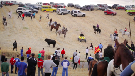 VIDEO FUERTE: Acoso con vehículos y golpes con varas o piedras, así son los rally de animales (+18)