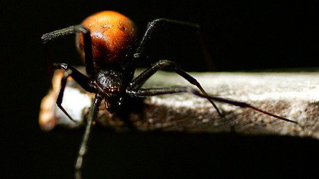 Sepa por qué este es el hombre con peor suerte de Australia