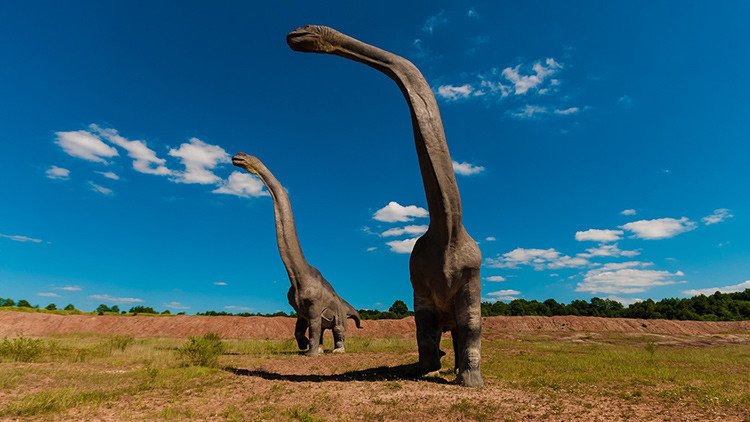 Descubren una de las mayores pisadas de dinosaurios de la historia (FOTO)