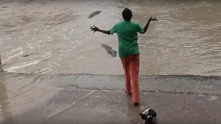 El poder de la chancla: Una mujer espanta a un cocodrilo usando solo su calzado