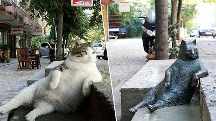 Turquía inaugura una estatua en memoria del icónico gato de Internet