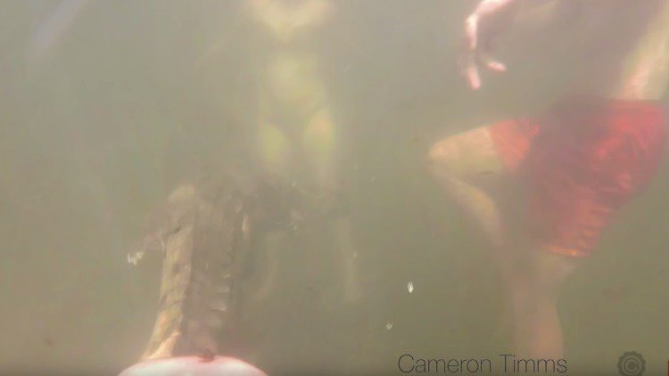 Captan con una cámara GoPro el momento en que un cocodrilo ataca a un adolescente 