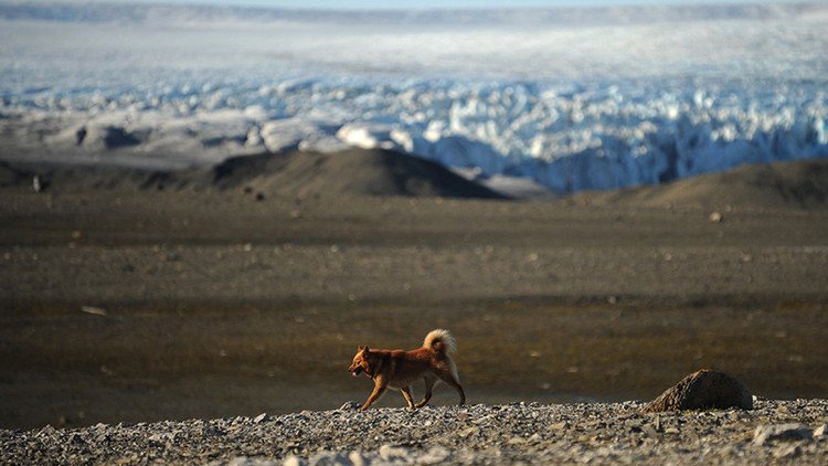 Captan primeras imágenes de dos nuevas islas en el Ártico ruso 
