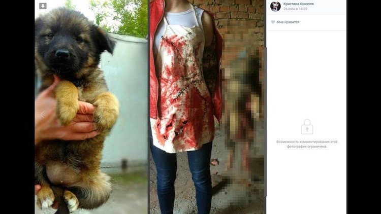 Piden un castigo severo para dos jóvenes rusas que desmembraban animales y lo subían a la Red
