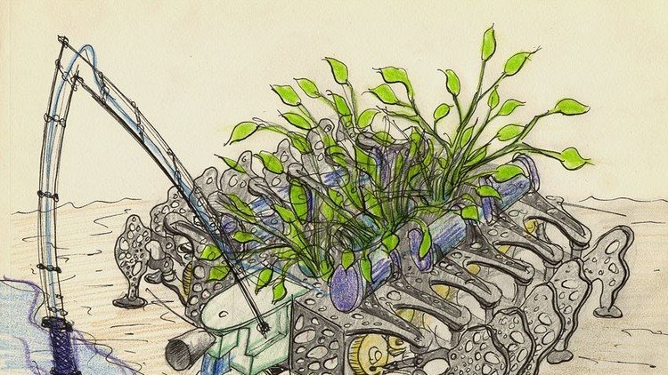 Plantas nómadas y robots parásito muestran cómo cambiar nuestra relación con el medio ambiente