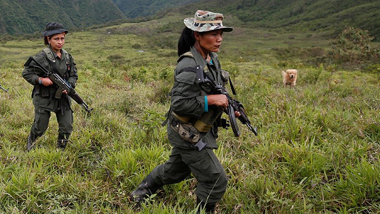 Exclusiva: RT se adentra en la selva colombiana y muestra la cara oculta de las FARC (VIDEO)