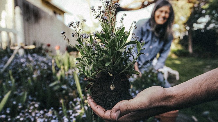 Tres secretos clave para que un amor dure toda la vida