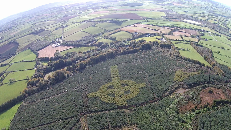 Video, fotos: Un dron capta un símbolo religioso gigante que se escondía en un bosque de Irlanda