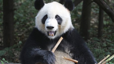 Alegría y color en las mejores imágenes de esta semana