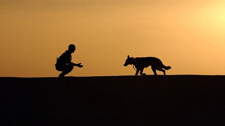 "Habrá que reescribir la historia": Hallan restos de uno de los primeros perros domesticados