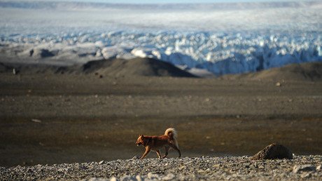 Captan primeras imágenes de dos nuevas islas en el Ártico ruso